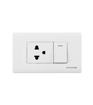 American Switches And Sockets