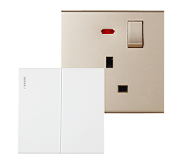 Electrical Switches and Sockets