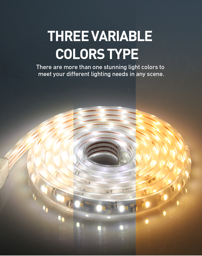 China Led Strip Lights China Led Strip Lights
